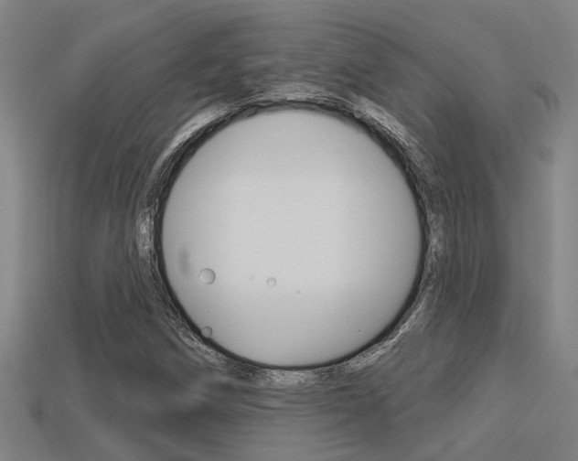 X0000113341258200909150958
