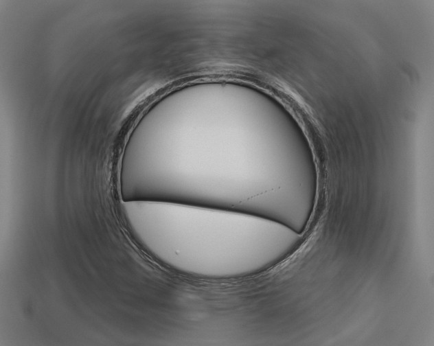 X0000113341259200909150958