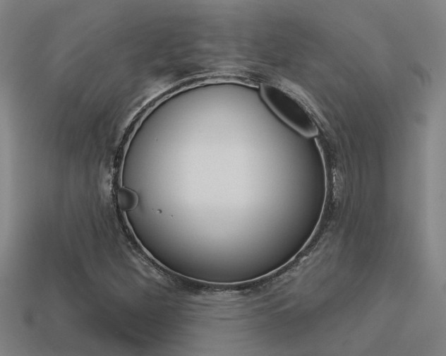 X0000113341260200909150958