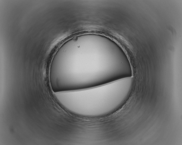 X0000113341261200909150958