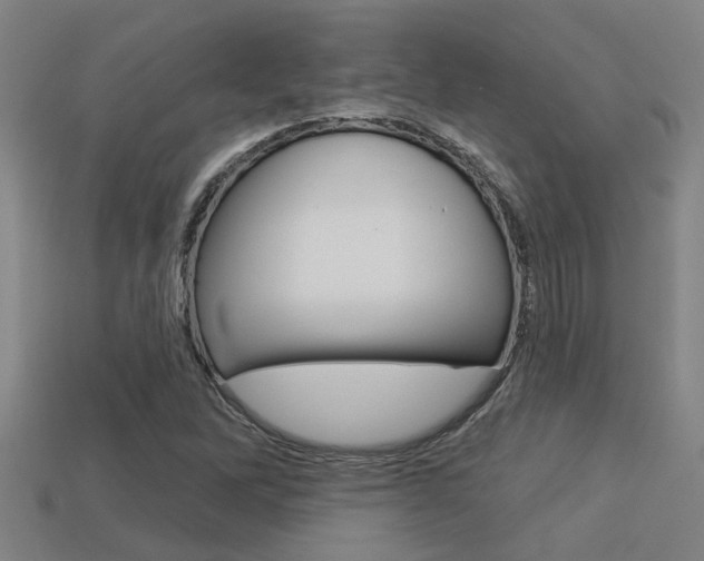 X0000113341262200909150958