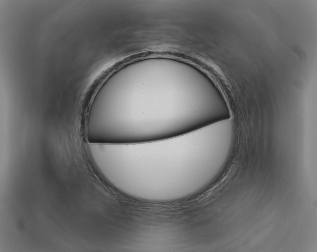 X0000113341263200909150958