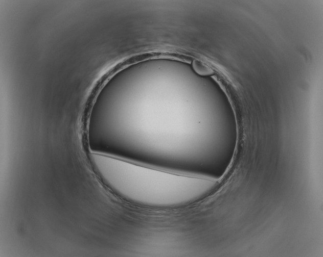 X0000113341264200909150958