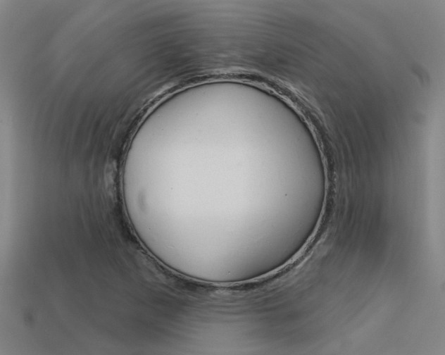 X0000113341265200909150958