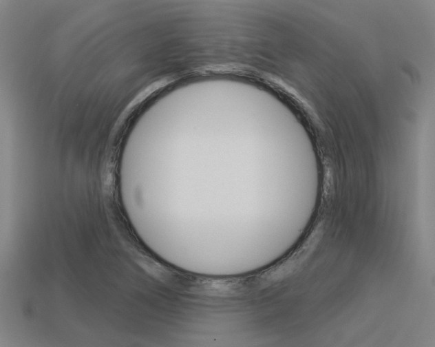 X0000113341266200909150958