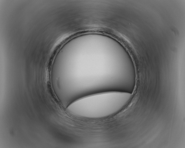 X0000113341267200909150958