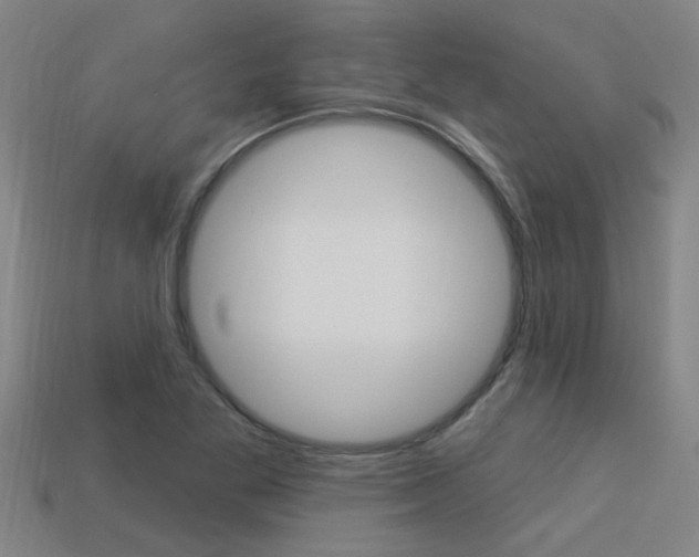 X0000113341269200909150958