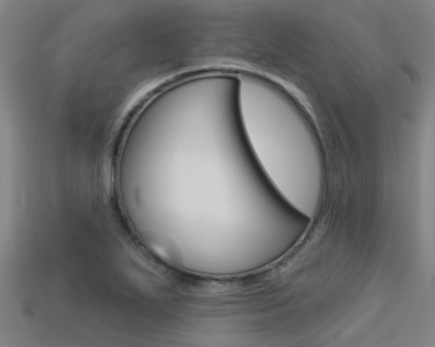 X0000113341271200909150958