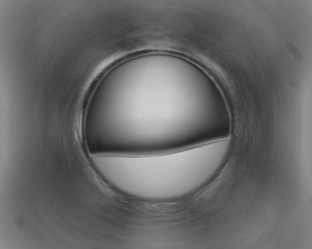X0000113341272200909150958