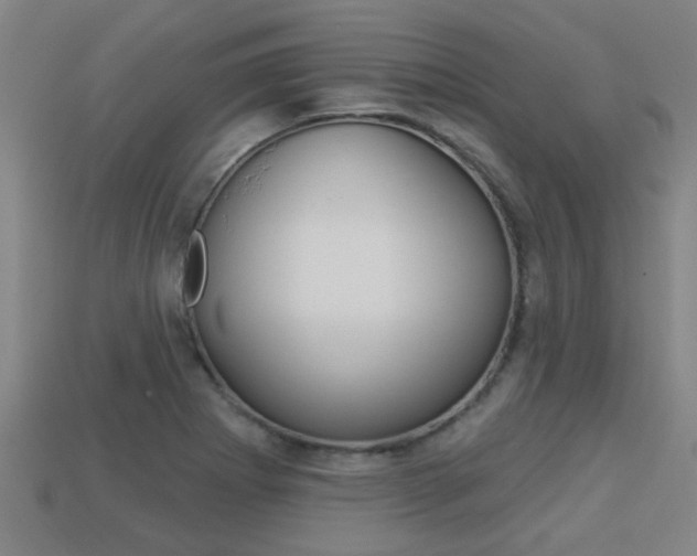X0000113341273200909150958
