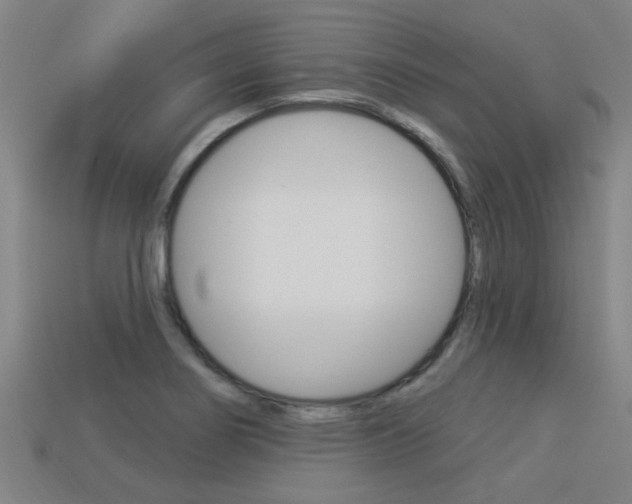 X0000113341274200909150958