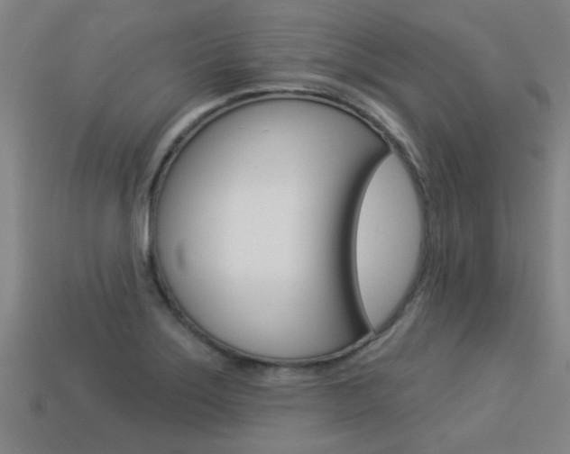 X0000113341275200909150958