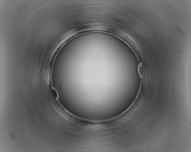X0000113341276200909150958