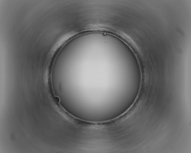 X0000113341277200909150958