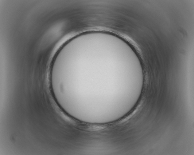 X0000113341278200909150958