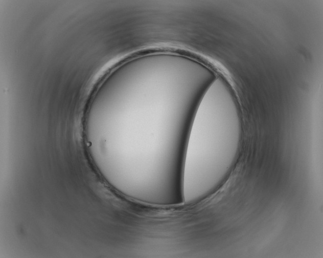 X0000113341279200909150958