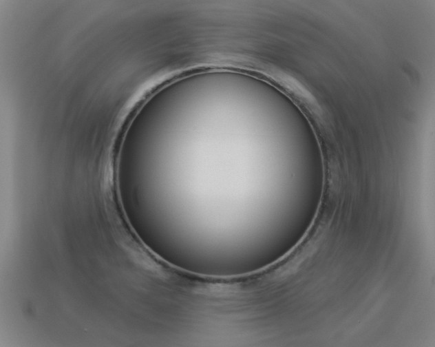 X0000113341280200909150958