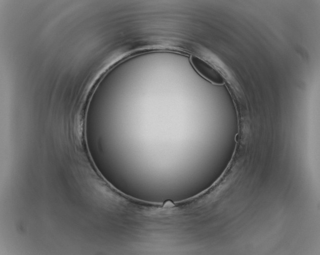 X0000113341284200909150958