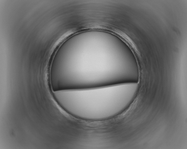 X0000113341285200909150958