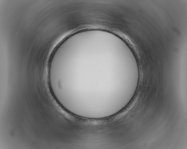 X0000113341286200909150958