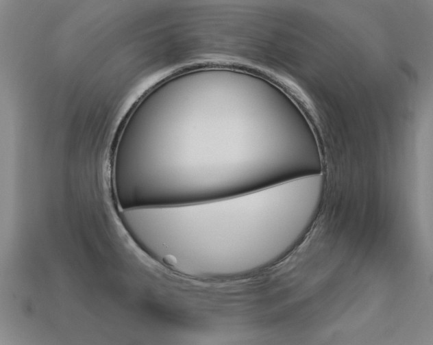 X0000113341287200909150958