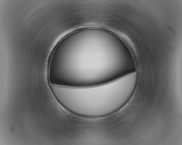 X0000113341288200909150957