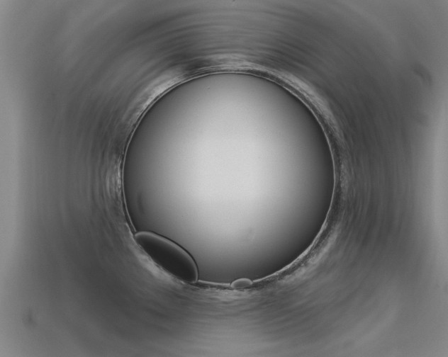 X0000113341289200909150957