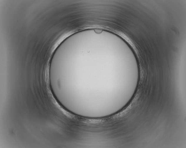 X0000113341290200909150957