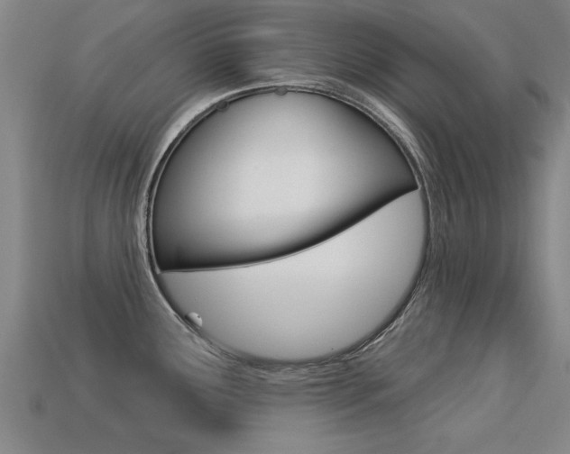 X0000113341291200909150957