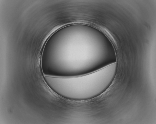 X0000113341292200909150957