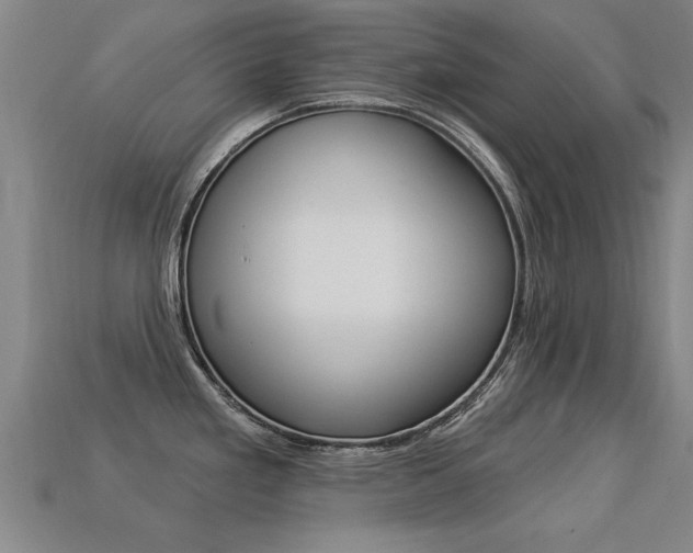 X0000113341293200909150957