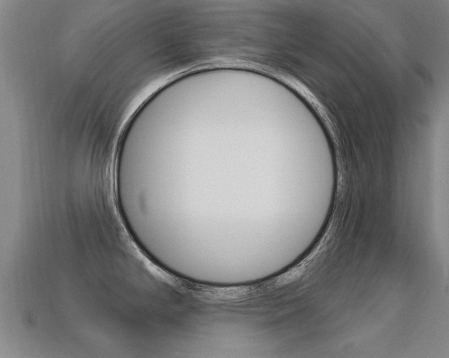 X0000113341294200909150957