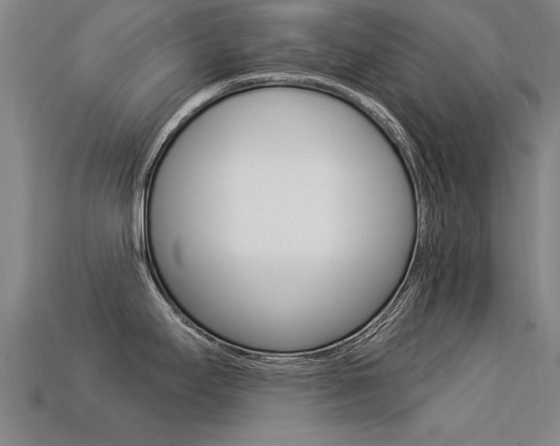 X0000113341295200909150957