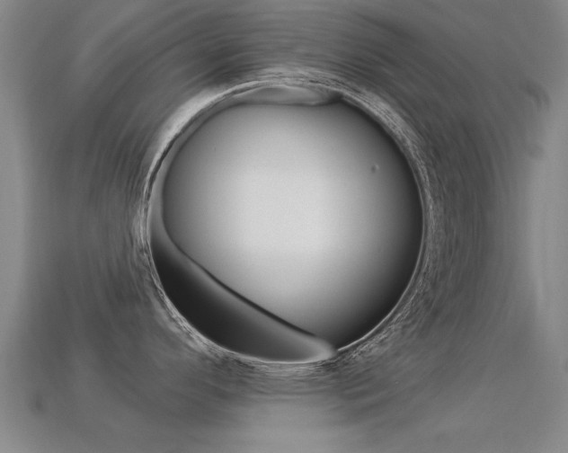 X0000113341296200909150957