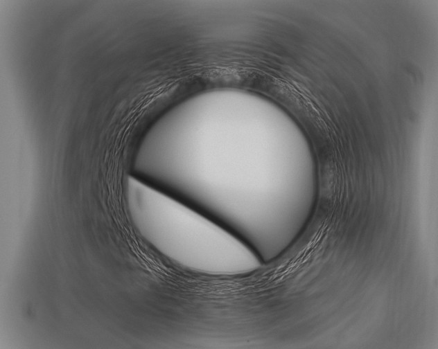 X0000113341297200909150957