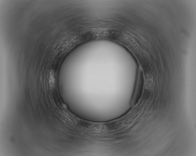 X0000113341298200909150957