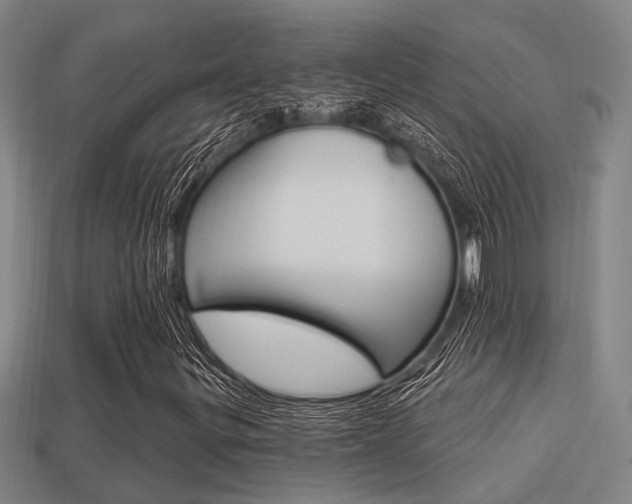 X0000113341299200909150957