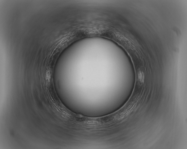 X0000113341300200909150957
