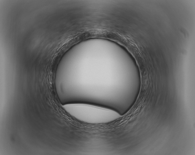 X0000113341301200909150957