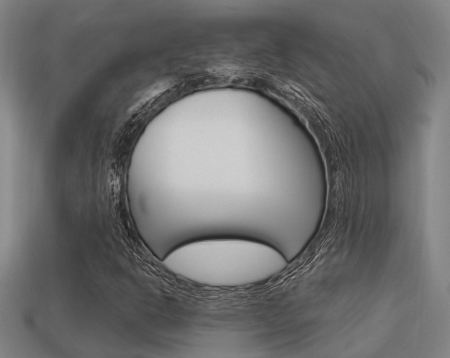 X0000113341302200909150957