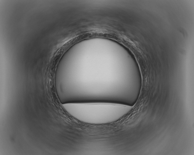 X0000113341303200909150957
