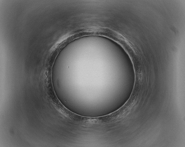 X0000113341304200909150957