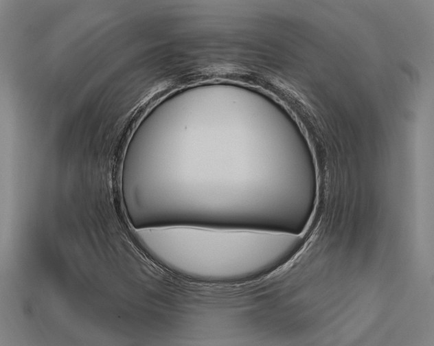 X0000113341305200909150957