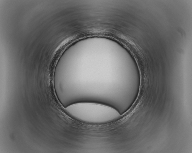 X0000113341306200909150957