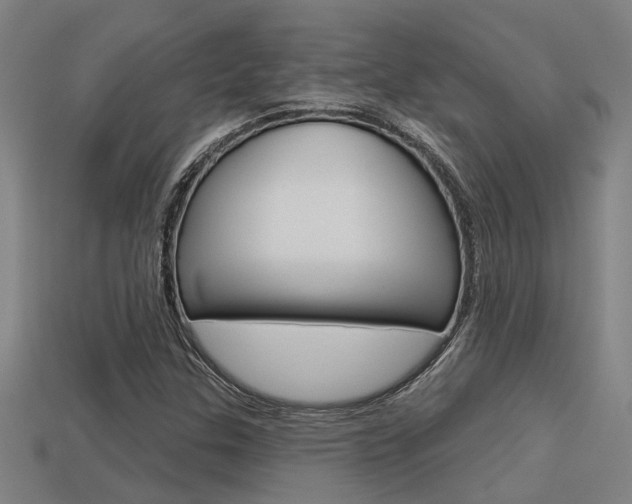 X0000113341307200909150957