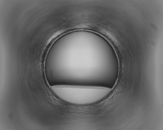X0000113341308200909150957