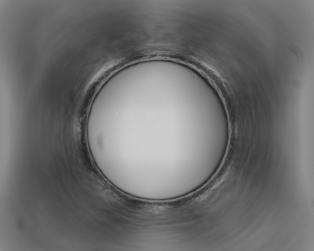 X0000113341309200909150957