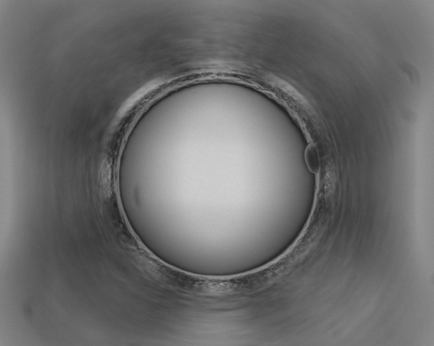 X0000113341310200909150957