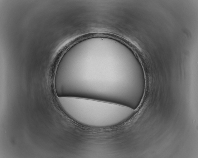 X0000113341311200909150957