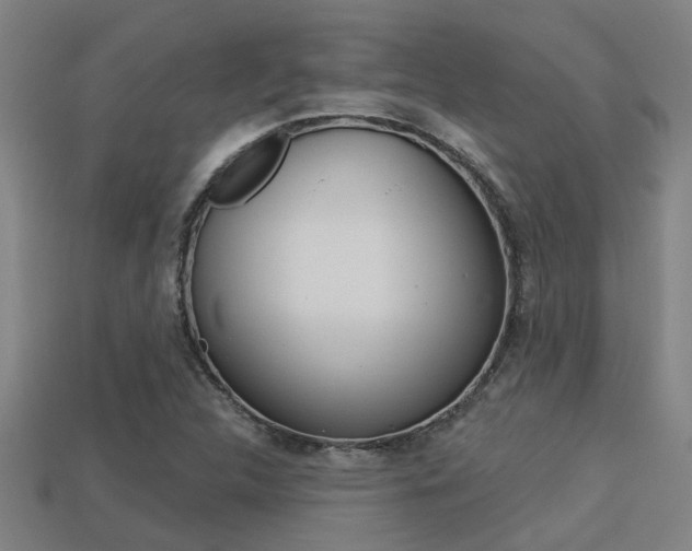 X0000113341312200909150957